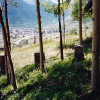 Dyson Family Plot - Alice Corbin Dyson - 1852-1939 - born in Connecticut / Arthur Corbin Dyson - 1883-1884 - convulsions / James Edgar Dyson - 1847-1923 - born in England