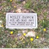 Wesley Hannum